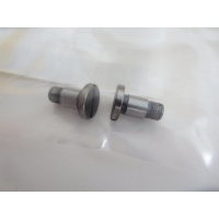 ����� Roland Edelmann (Practica) 01 ���������� ����� 011I197730