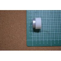 DSC_8219 [conflicted].JPG